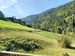Apartment Saint-Jean-d'Aulps Umgebung 37