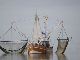 Ferienhaus Juist Umgebung 68