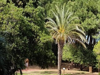 Apartamento Sainte-Maxime Grabación al aire libre 2