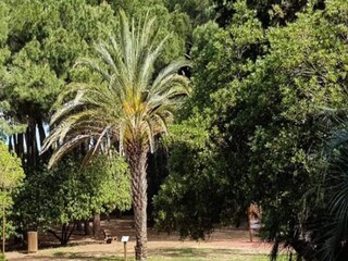 Apartamento Sainte-Maxime Grabación al aire libre 16