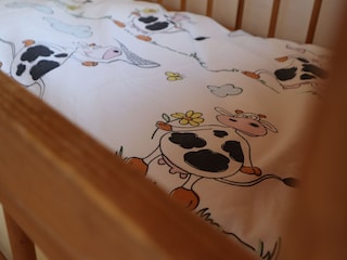 Bauernhof Dachsberg Schlafzimmer 23
