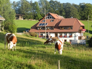 Bauernhof Dachsberg Außenaufnahme 3