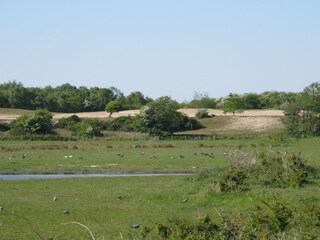 Appartamento per vacanze Oostkapelle Ambiente 20
