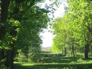 Appartamento per vacanze Oostkapelle Ambiente 22