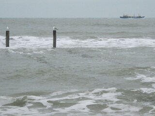 Appartamento per vacanze Oostkapelle Ambiente 24