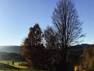 Appartamento Miribel-Lanchâtre Ambiente 16