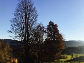 Appartement Miribel-Lanchâtre Environnement 18