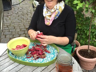 Appartamento per vacanze Ediger-Eller Ambiente 32