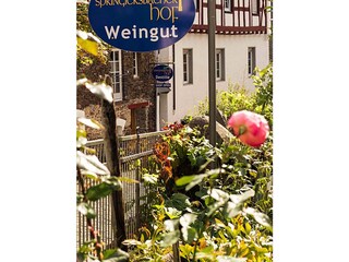 Appartamento per vacanze Ediger-Eller Ambiente 36