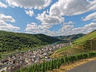 Sommer im Moseltal in Ediger