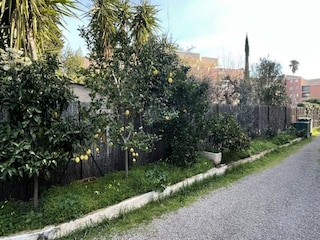 Apartment Sainte-Maxime  6