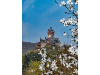 Appartamento per vacanze Ediger-Eller Ambiente 24