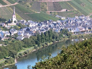 Appartamento per vacanze Ediger-Eller Ambiente 18