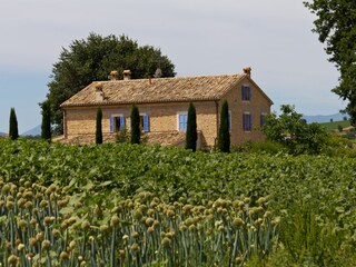 Appartamento per vacanze Trecastelli Registrazione all'aperto 6