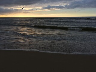 Casa per le vacanze Schoorldam Ambiente 20
