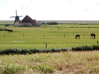 Casa per le vacanze Schoorldam Ambiente 15