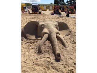 Maison de vacances Duhnen Environnement 40