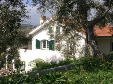 Villa dell Avvocato