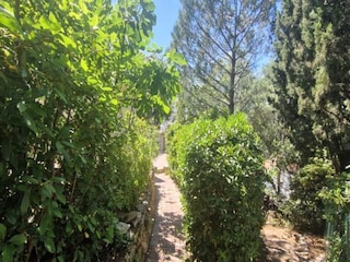 Apartment Sainte-Maxime  13
