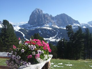 Appartamento per vacanze St. Christina Ambiente 31