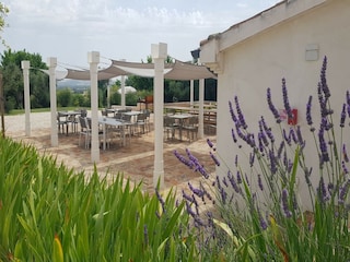 Villa Monte San Vito Außenaufnahme 4