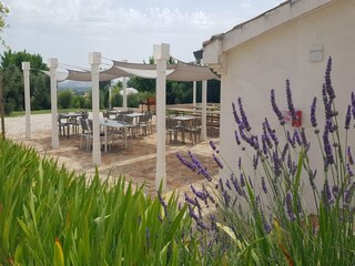 Villa Monte San Vito Außenaufnahme 9