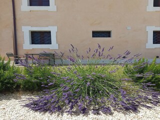 Villa Monte San Vito Buitenaudio-opname 2