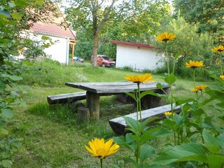 Ferienwohnung Ryn Umgebung 9