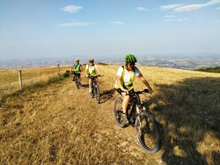 Villa Monte San Vito Environnement 23