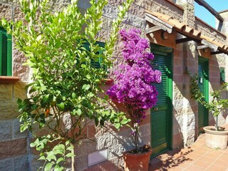Holiday park Rio nell'Elba Features 15
