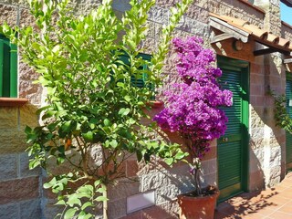 Vakantiepark Rio nell'Elba Buitenaudio-opname 13