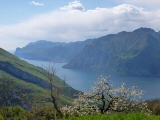 Apartamento de vacaciones Torbole sul Garda Entorno 23