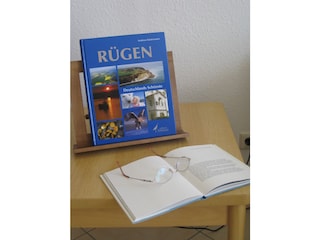 Zeit zum Lesen