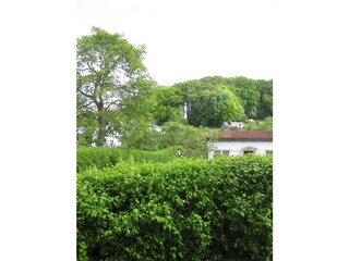 Blick aus dem Schlafzimmer