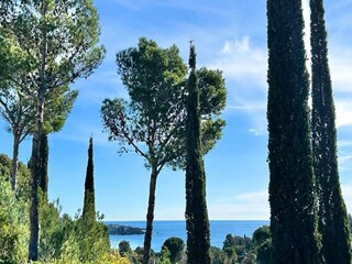 Apartment Le Dramont  26