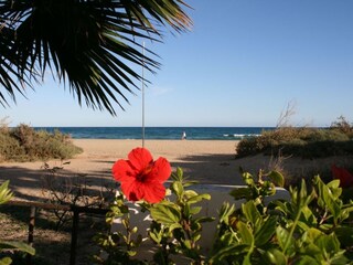 Direkt am Strand