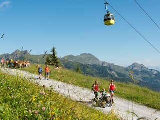 Abwechslungsreiche Wanderwege - www.grossarltal.info