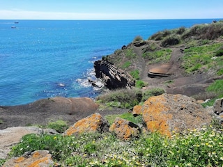 Apartment Cap d'Agde Umgebung 29