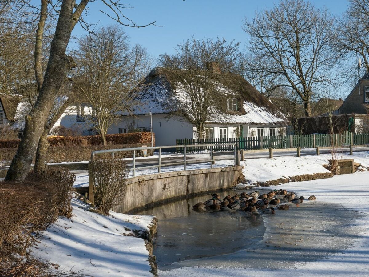 Ferienhaus Ostenfeld Umgebung 23