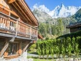 Appartement Chamonix  1