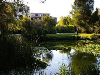 Appartement Six-Fours-les-Plages Omgeving 18