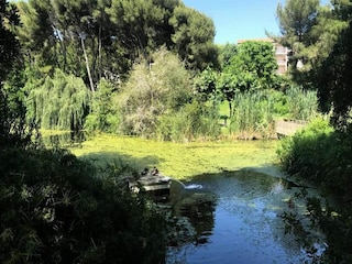 Apartamento Six-Fours-les-Plages Entorno 16