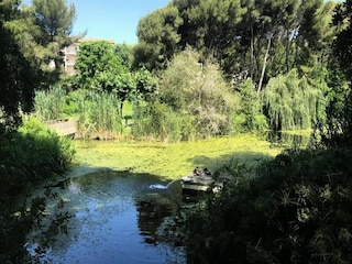 Apartamento Six-Fours-les-Plages Entorno 19