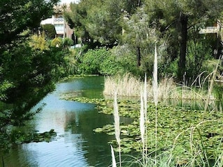 Apartment Six-Fours-les-Plages Outdoor Recording 8