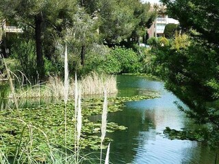 Apartamento Six-Fours-les-Plages Grabación al aire libre 10