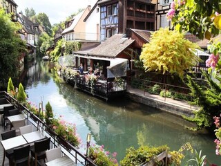 Appartement Colmar Environnement 33