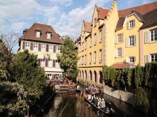 Appartement Colmar Environnement 34