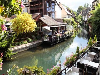 Appartement Colmar Environnement 35