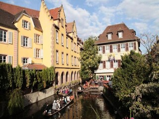 Appartement Colmar Environnement 36