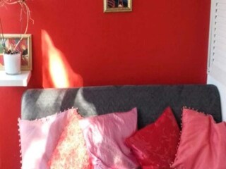 Appartement Six-Fours-les-Plages  8